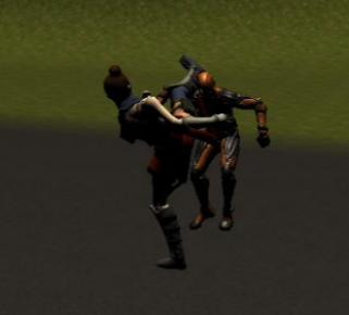 Combat